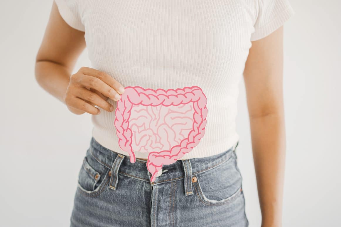 Hände, die einen Darm aus Papier halten