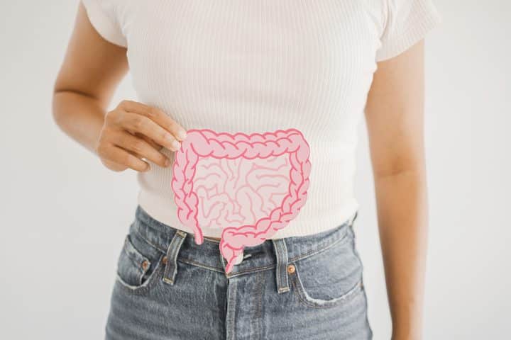 Hände, die einen Darm aus Papier halten