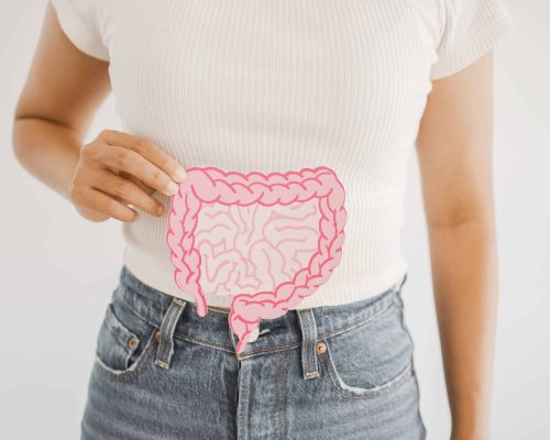 Hände, die einen Darm aus Papier halten